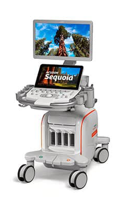 ecografo-acuson-sequoia-big